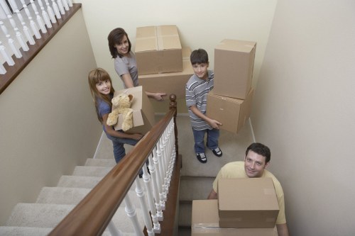 Final review and resolution of a removals complaint