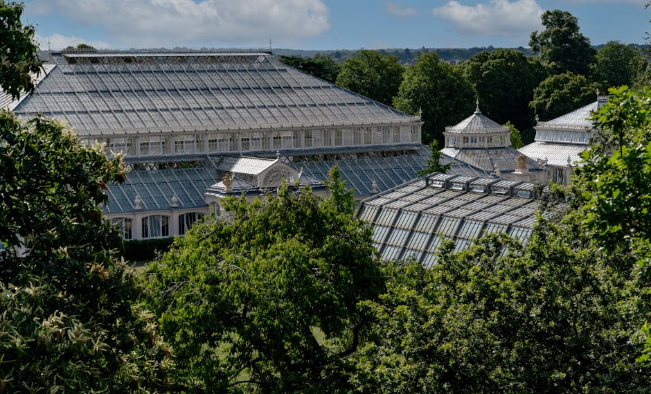 The image shows the glass and metal conservatory and greenhouse structures of Syon Park, partially obscured by lush green trees and foliage in the foreground. The conservatories have large, expansive glass panels supported by white metal frames, with some sections featuring decorative architectural details. The buildings are situated outdoors within a landscaped garden area, under a partly cloudy sky with patches of blue visible. This setting illustrates the exterior environment of a historic estate, which may be involved in house or garden relocation projects, or the transportation and packing of items for house removals, as offered by Hounslow Removals. The image highlights the spaciousness and architectural features typical of high-capacity greenhouse structures used to support home relocation and furniture transport services in the area around Highbury.